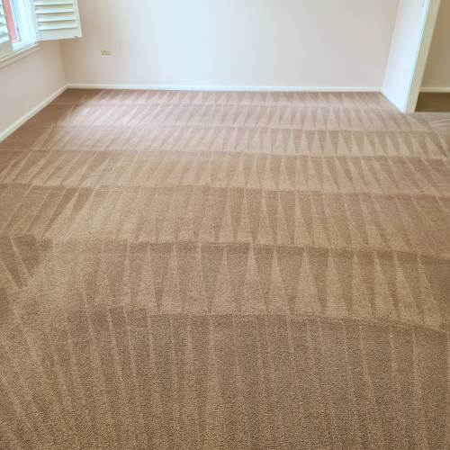 Carpet Cleaning Sydney