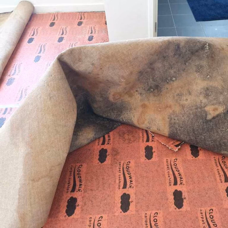 Carpet Removal In Sydney