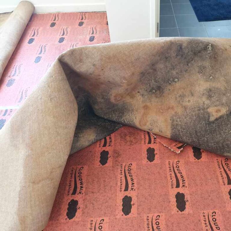 Carpet Removal In Sydney