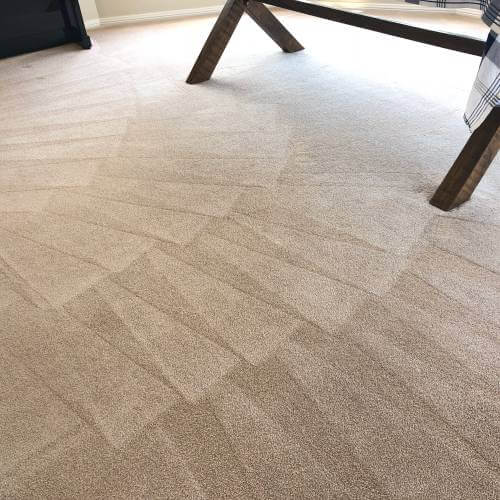 Carpet Cleaning Sydney