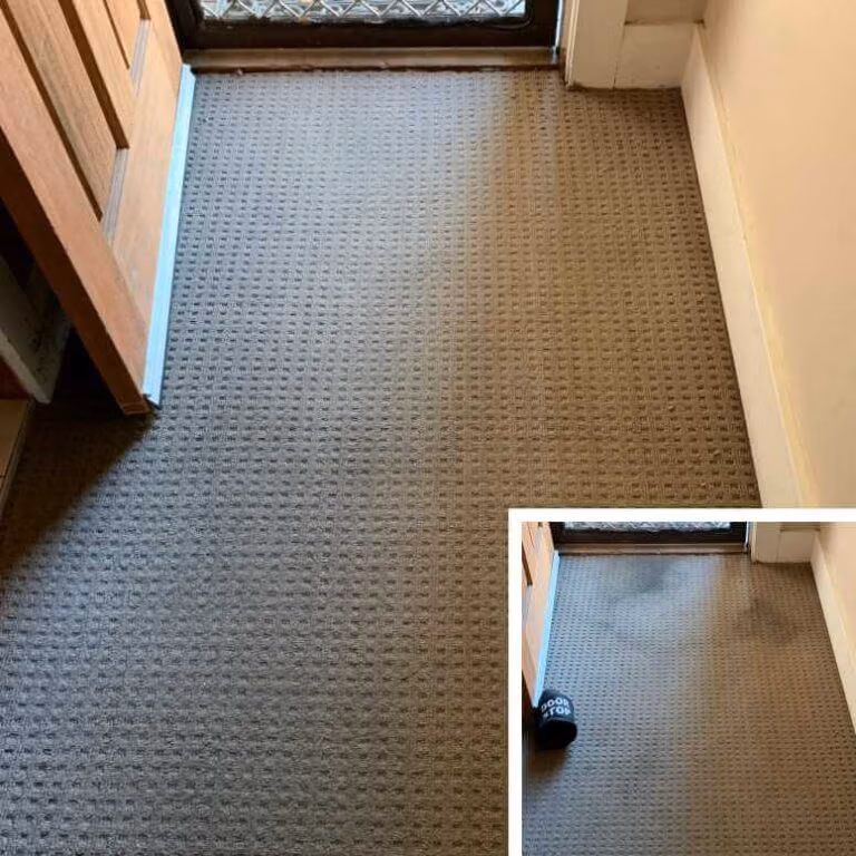 Carpet Cleaning Sydney