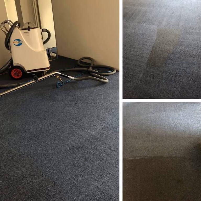 Carpet Cleaning Sydney