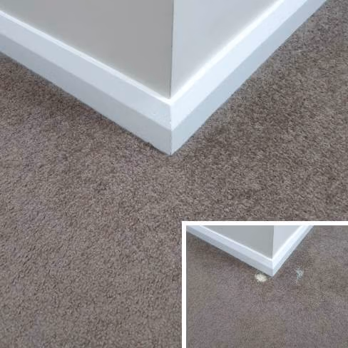 Carpet Repair Sydney