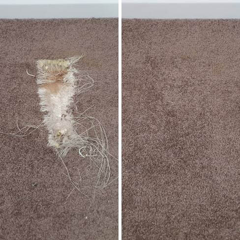 Carpet Repair Sydney