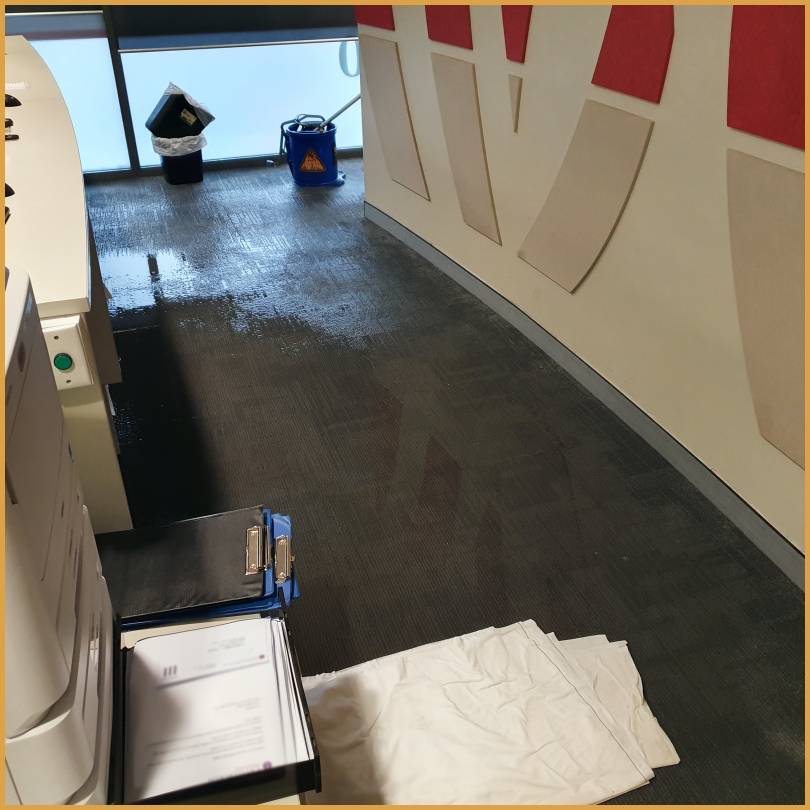 Carpet Water Damage Sydney