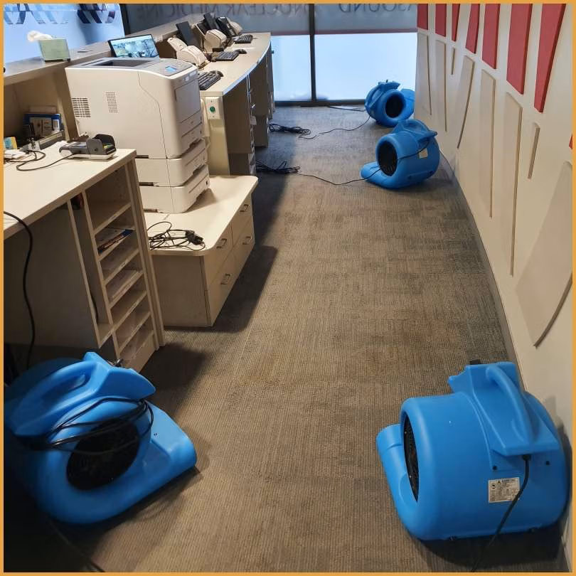 Carpet Water Damage Sydney