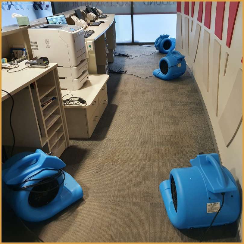Carpet Water Damage Sydney