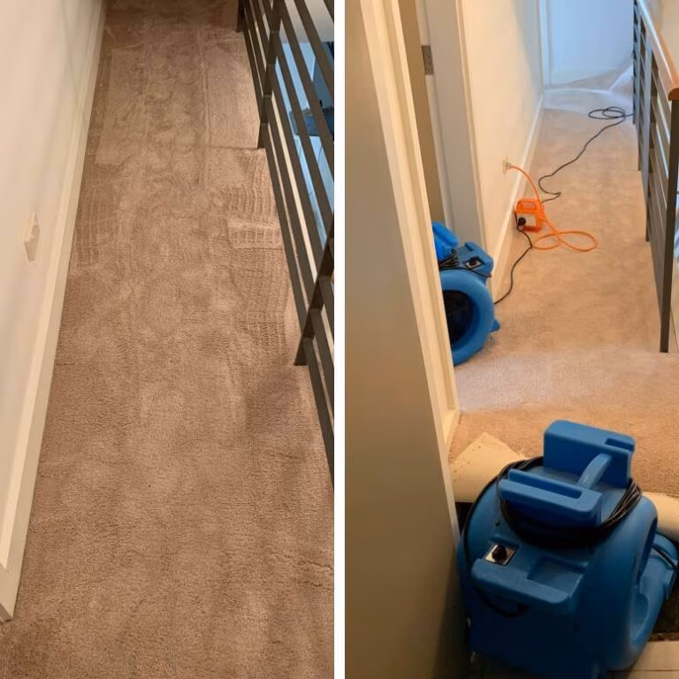 Carpet Water Damage Sydney