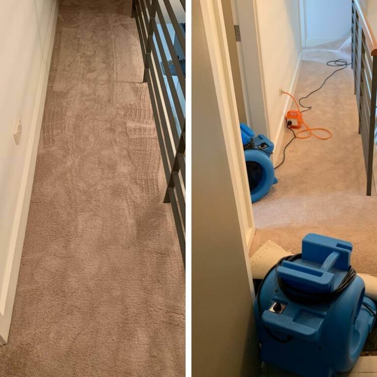 Carpet Water Damage Sydney