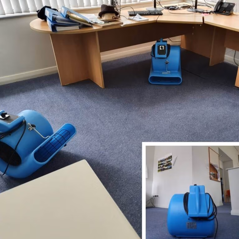 Carpet Water Damage Sydney