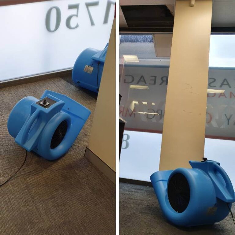 Carpet Water Damage Sydney