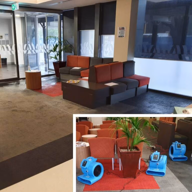 Carpet Water Damage Sydney
