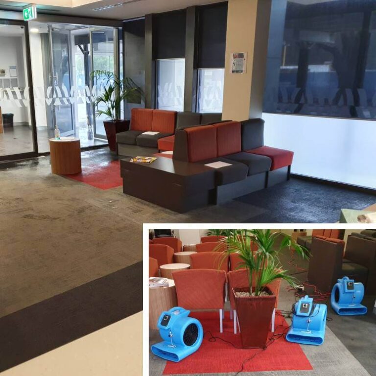 Carpet Water Damage Sydney