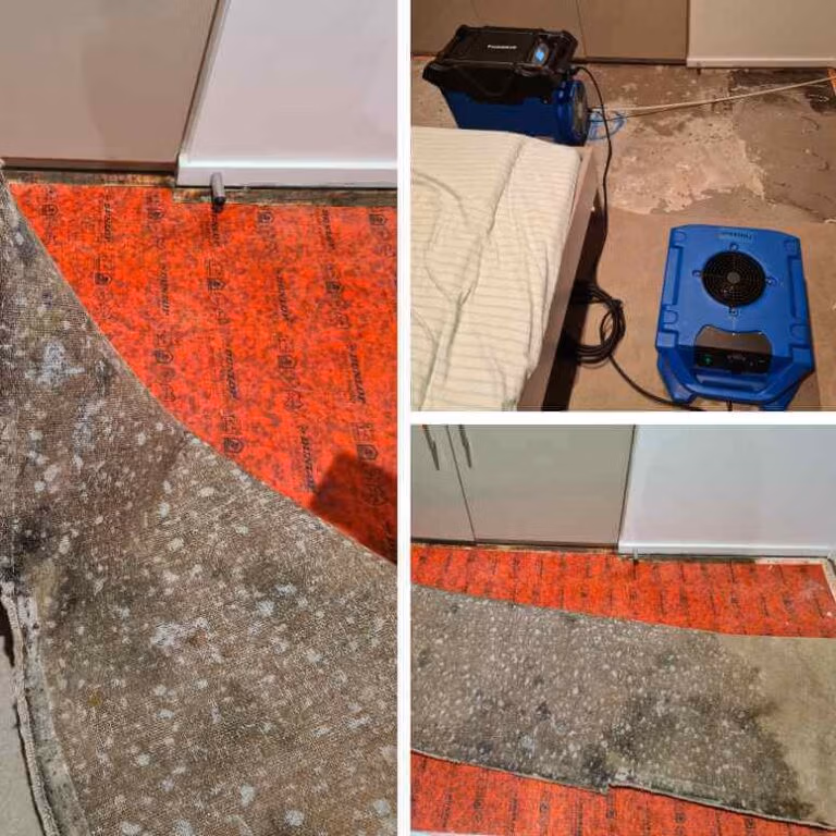 Carpet Water Damage Sydney