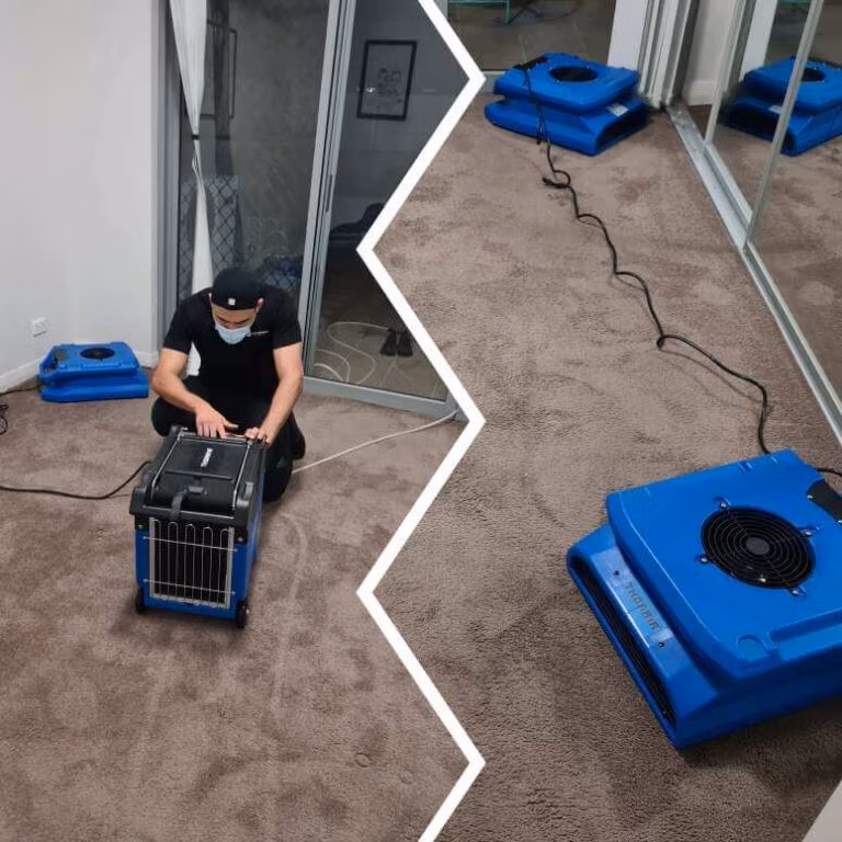 Carpet Water Damage Sydney