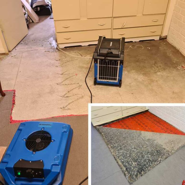 Carpet Water Damage Sydney