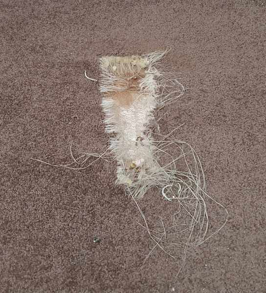 Carpet Repair Paddington